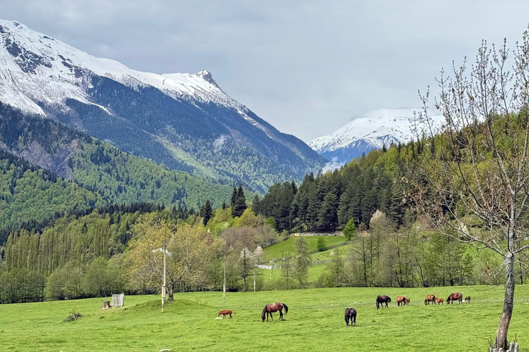From Tbilisi: 3-Day Svaneti Tour with Guide & Accommodation