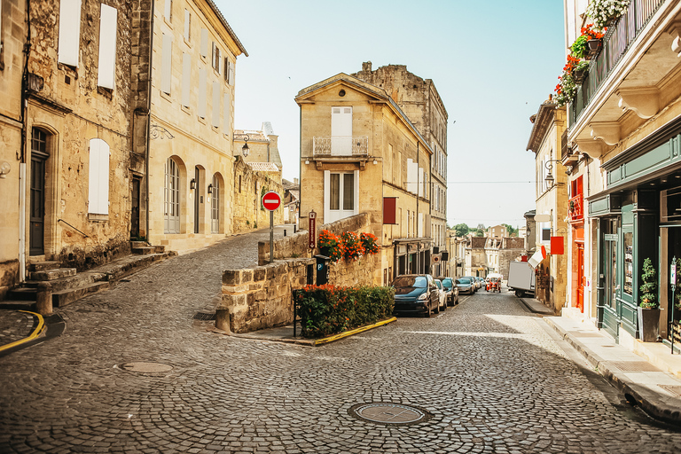 Z Bordeaux: Półdniowa wycieczka po Saint-Émilion