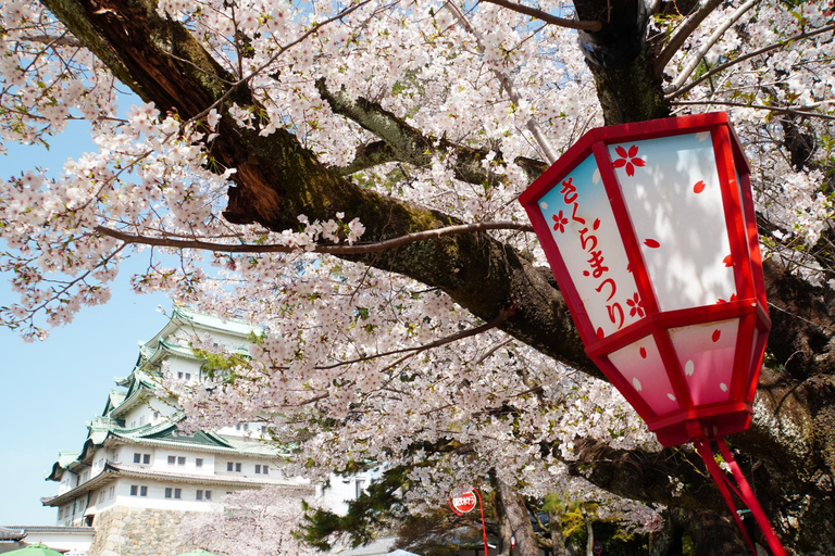Kimono & Sakura Tour at Nagoya Castle