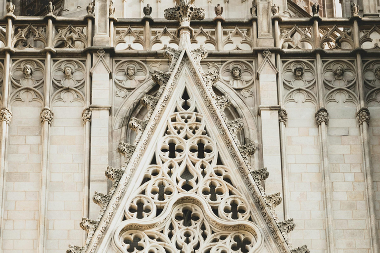 Barcelona: Cathedral of Barcelona Guided Tour