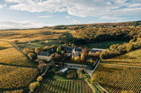 Rheingau, private tour of the sights - Housity