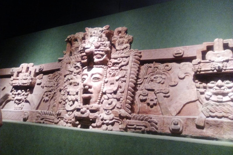 ANTHROPOLOGY MUSEUM : Guided Tour