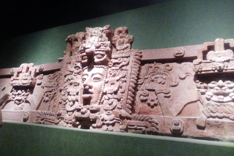 ANTHROPOLOGY MUSEUM : Guided Tour