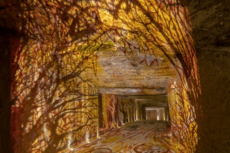 Chenonceau, Cruise, and Wine Tasting