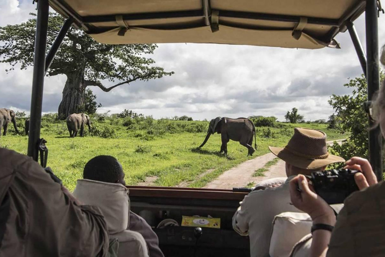 Amboseli National Park Full Day Guided Day Tour