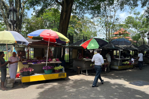 Colombo to Kandy Full-Day Private Tour Experience