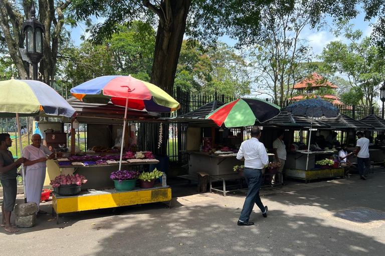 Colombo to Kandy Full-Day Private Tour Experience
