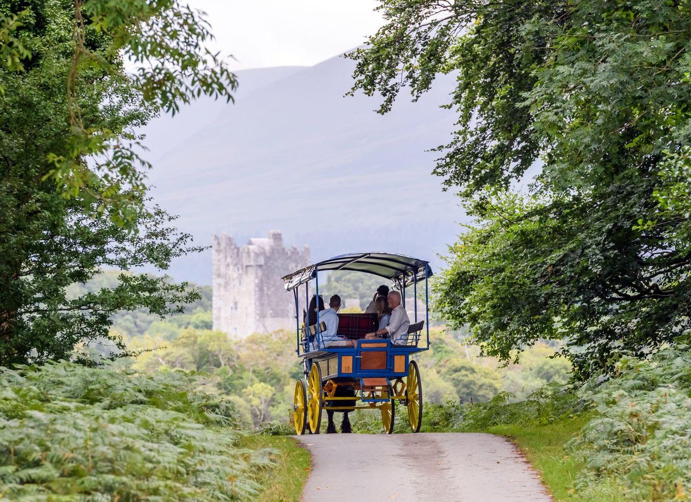 Killarney: 1-times tur med hestevogn i Jaunting Car