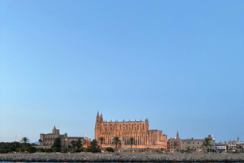 Palma: 2-Hour Sunset Catamaran Cruise with Drinks