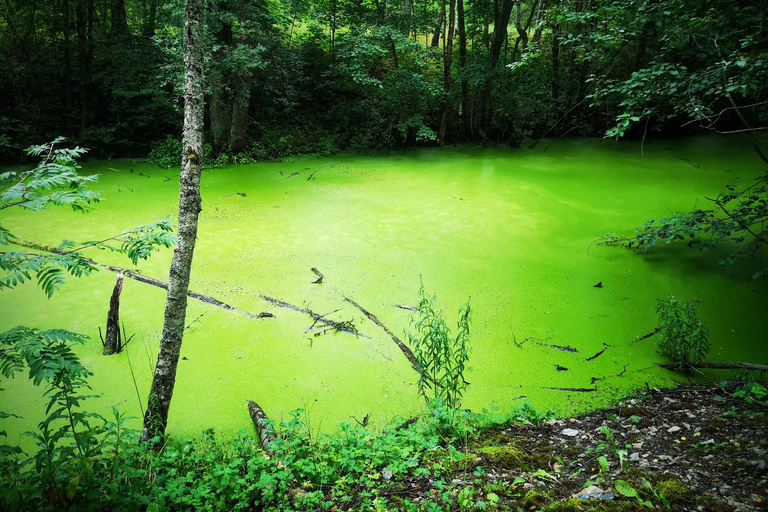 Tallinn: Astangu Natuur en Geschiedenis Wandeling