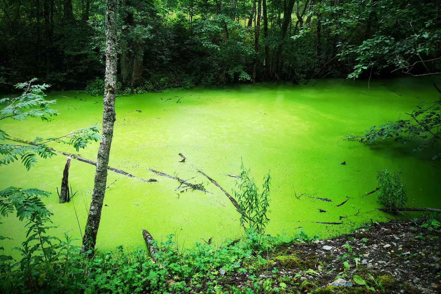 Tallinn: Astangu Nature and History Hike