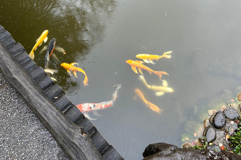 Tokyo: Imperial Palace, Edo Castle and Historical Tour