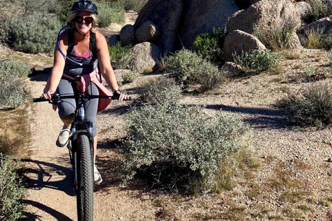 Scottsdale: Excursión guiada en bicicleta de montaña por el desierto