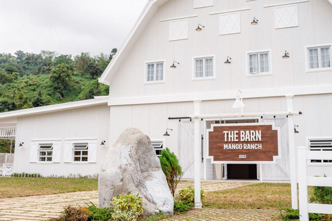 Dumaguete: Tagestour zum Waldcamp und zu den Casaroro-Wasserfällen