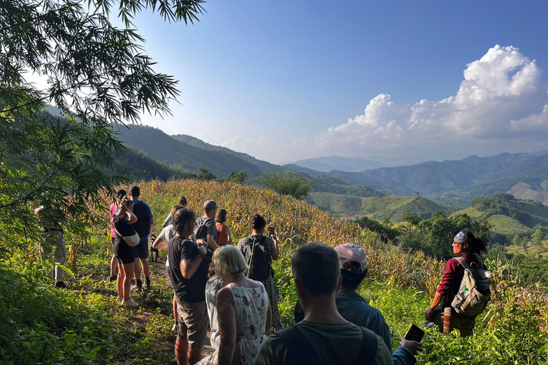 Chiang Rai: Jungle Adventure-Group Trekking & Bamboo Cooking