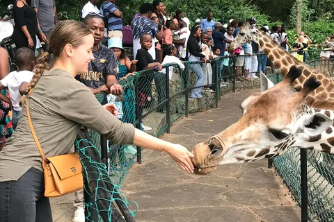 Ciudad de Mombasa: Excursión a tierra con degustación de comida callejera.