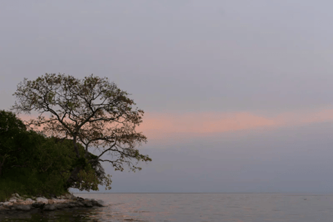 experiencia del café y excursión a la isla napoleón en el lago kivu