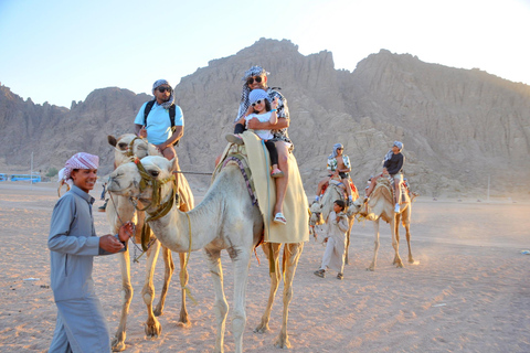 Sharm El Sheikh: 5-in-1 Quad, Camel, Dinner & Stargazing
