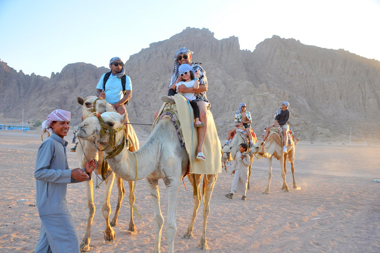 Sharm El Sheikh: 5-in-1 Quad, Camel, Dinner & Stargazing