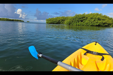 Key West: Prywatna wycieczka z przewodnikiem kajakiem