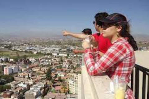 Tour Arequipa with the world of Alpacas