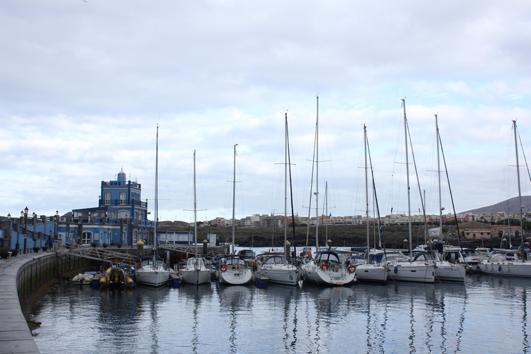 Tenerife: Whale Watching Boat Tour with a Marine Biologist