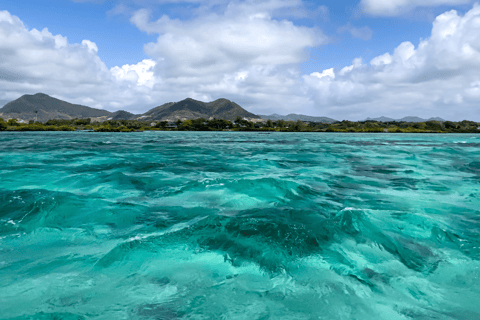 Pięć wysp: wycieczka po wyspach, delfiny, nurkowanie, grillBilet na pięć wysp (bez odbioru z hotelu)