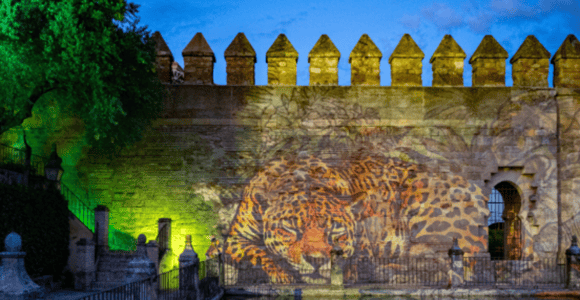 Córdoba: Old Town & Alcázar Private Tour + Light Show