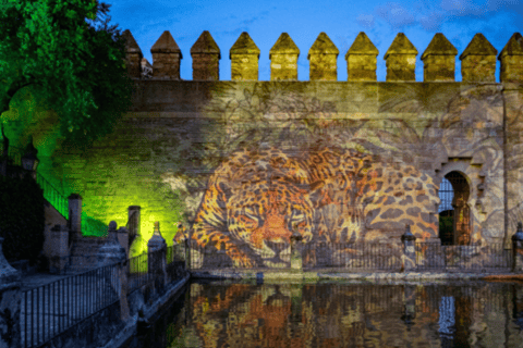 Córdoba: Old Town & Alcázar Private Tour + Light Show