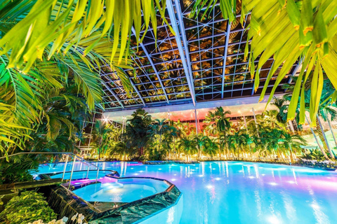 Official Therme Bucharest Entry Ticket – All Areas Access Therme Bucharest The Palm Ticket – 3h