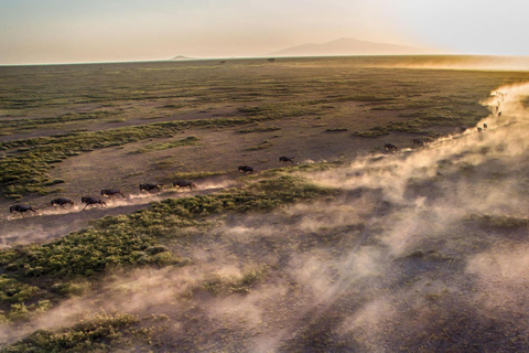 5Day of Wildlife Tarangire, Serengeti, Ngorongoro &amp;Cultural