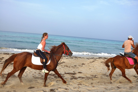 DJERBA : Paseo a caballo privado (2h).