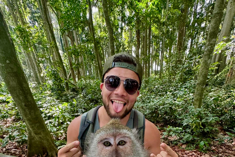 North Bali: Ulun Danu, Waterfalls, Swing and Monkey Forest Private Tour with Entry Ticket