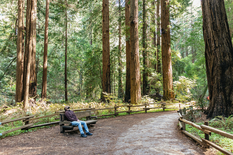 Depuis San Francisco : Visite guidée du Muir Woods National MonumentMuir Woods National Monument : visite avec billet d'entrée