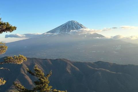 Visite guidée privée du Mont Fuji et de Hakone