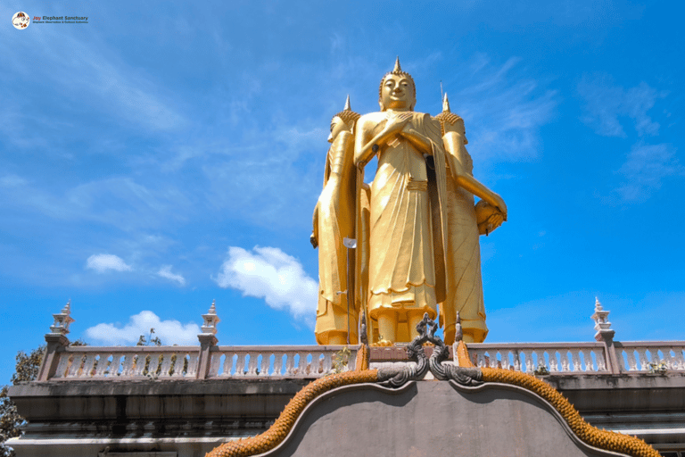 Chiang Mai: Elephant Sanctuary & Watch Sunrise at Temple