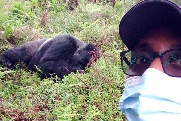 Excursión de dos días a los Gorilas vía Kigali-Mgahinga Experience