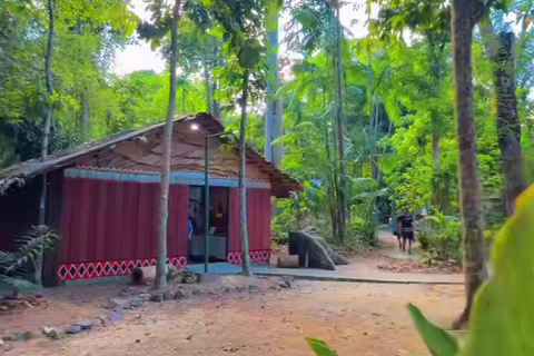 Private Tour in Manaus: Science Forest and Amazonas Theater
