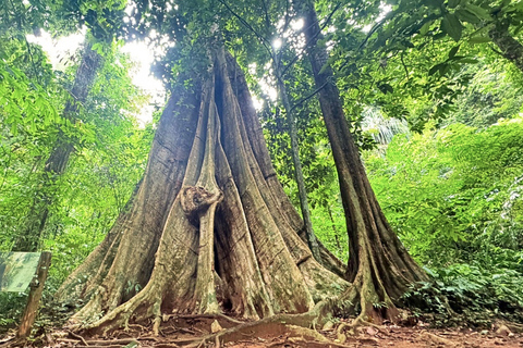 Krabi: Luxury Vintage Wooden Boat Cruise With Island Hopping Private: One day 4 Islands Tour