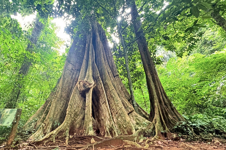 Krabi: Luxury Vintage Wooden Boat Cruise With Island Hopping Private: One day 4 Islands Tour