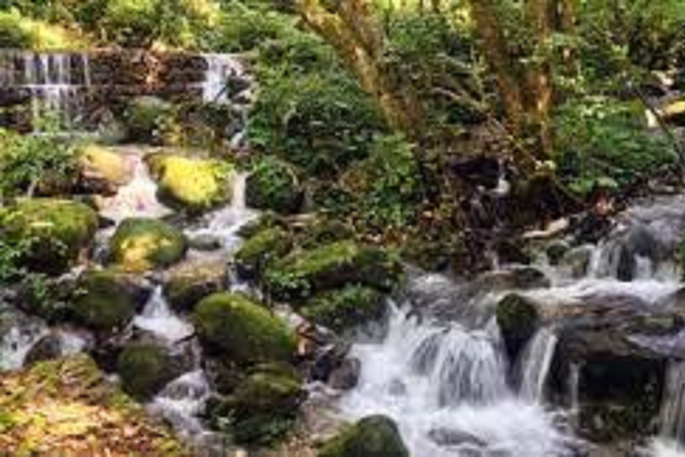 Excursión de un día al Parque Nacional de Shivapuri desde Katmandú