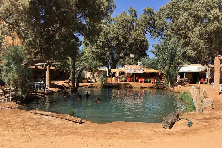 From Djerba: Saharan Safari - Berber Villages and Golden Dunes