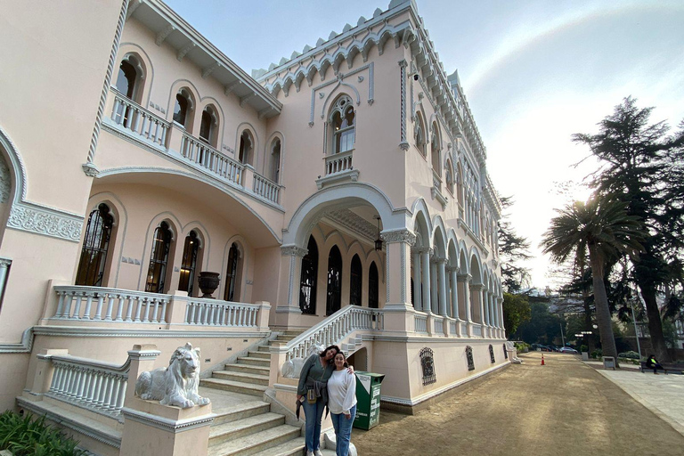 Casas del Bosque: Private Tour with Food Tasting/Lunch + Viña del Mar/Valparaiso