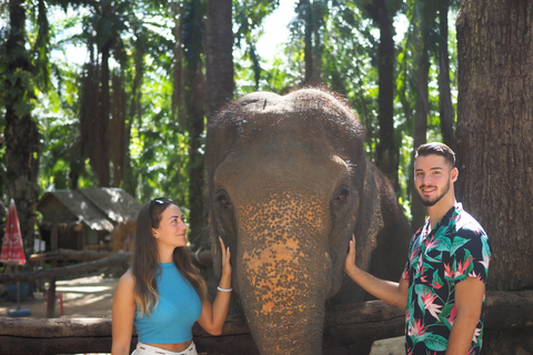 Krabi Mangrove Kayak &Elephant Shelter with Private Transfer Krabi: Mangrove Kayak&Elephant Shelter with Private Transfer