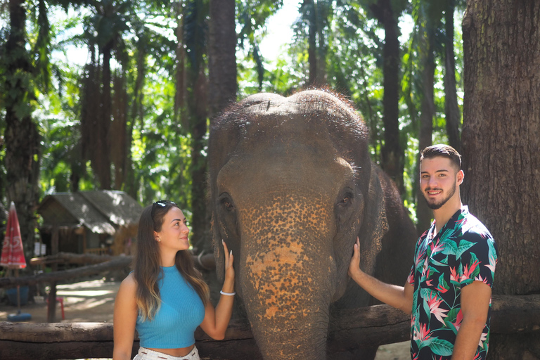 Krabi Mangrove Kayak &Elephant Shelter with Private Transfer Krabi: Mangrove Kayak&Elephant Shelter with Private Transfer