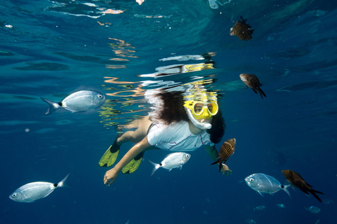 Portofino: snorkeling tour by dinghy from Genoa Portofino: shared snorkeling tour by dinghy from Genoa