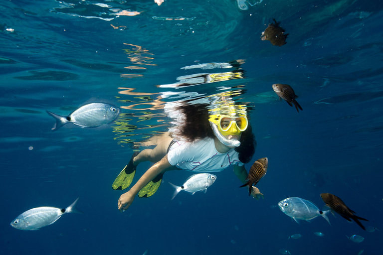 Portofino: snorkeling tour by dinghy from Genoa Portofino: shared snorkeling tour by dinghy from Genoa