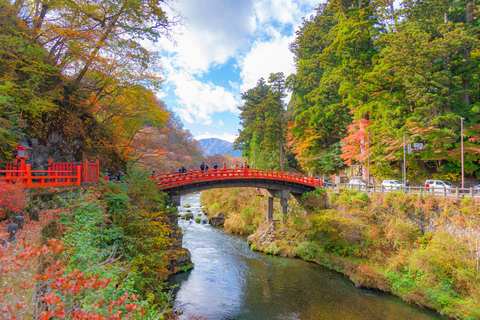 Desde Tokio: Nikko y la Belleza de la Cascada de Kegon