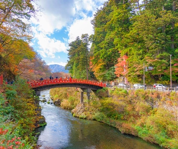 De Tóquio: Nikko, Santuário Toshogu, Cascata e Viagem ao Lago