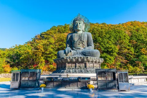 Séoul : Randonnée au Mont Seorak avec le temple Naksansa ou l'île de Nami
